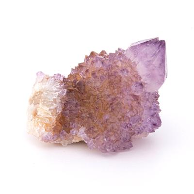 アメジストカクタス(楽器、手芸、コレクション)の商品一覧 アメジストカクタス(楽器、手芸、コレクション)の商品一覧