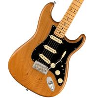 Fender/ American Professional II Stratocaster Maple Fingerboard Roasted Pine フェンダー(御茶ノ水本店)(YRK) | イシバシ楽器 17ショップス
