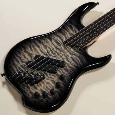 dingwall ベース（エレキベース本体）｜ベース｜楽器、器材 | 楽器
