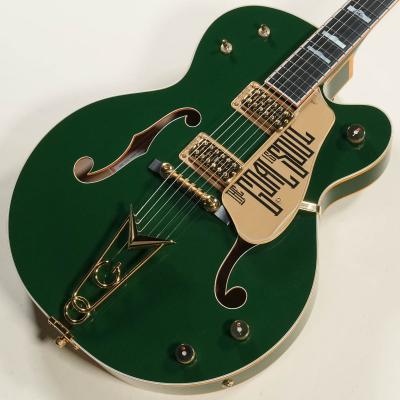 fernandes ギター（色：グリーン系）のおすすめ人気商品一覧 通販