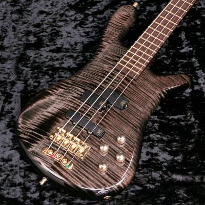 Warwick エレキベース本体（色：ブラック系）｜ベース｜楽器、器材