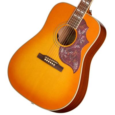 epiphone 12弦（アコースティックギター、クラシックギター本体