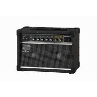 Roland / JC-22 ギターアンプ ジャズコーラス 30W (横浜店) | イシバシ楽器 17ショップス