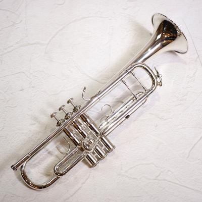 イシバシ楽器 17ショップス - トランペット｜Yahoo!ショッピング