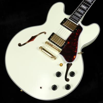 イシバシ楽器 17ショップス - セミアコ・フルアコ|Yahoo イシバシ楽器 17ショップス - セミアコ・フルアコ|Yahoo