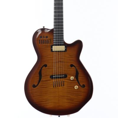 godin session（ギター）｜楽器、器材 | 楽器、手芸、コレクション の