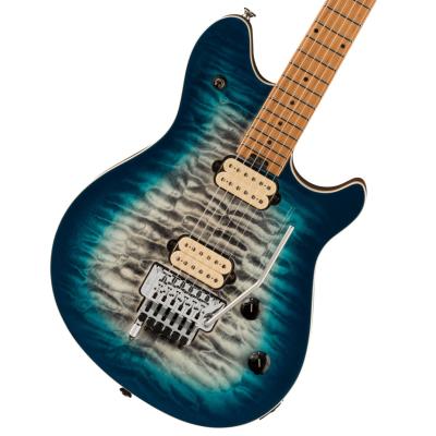 evh wolfgang SPECIALのおすすめ人気商品一覧 通販 - Yahoo!ショッピング