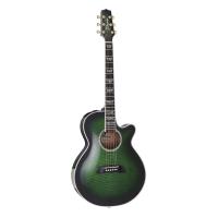 Takamine / TDP181AC SGS タカミネ アコースティックギター エレアコ TDP-181AC | イシバシ楽器