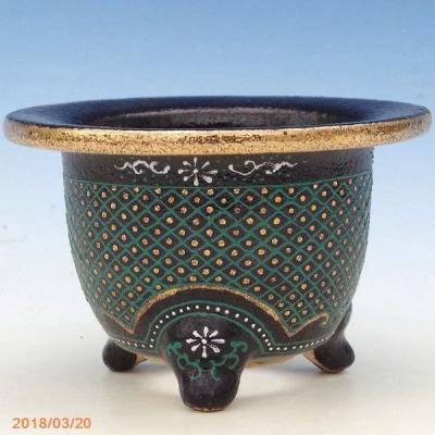 石田精華園 Yahoo!店 - 富貴蘭錦鉢｜Yahoo!ショッピング