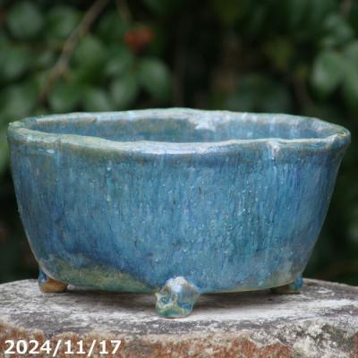 万年青鉢（鉢号数：4号以下）の商品一覧 通販 - Yahoo!ショッピング