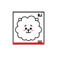 マル5785001200  【BT21】【LINE FRIENDS】【ラインフレンズ】ミニタオル【フェイス】【RJ】【アールジェイ】【アイドル】【韓国】【ライン】【スタンプ】【タ… | いしだ屋