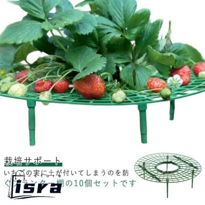 いちご プランターのおすすめ人気ランキングTOP100 - Yahoo!ショッピング