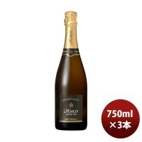 シャンパン マイィ ブリュット レゼルブ 750ml 3本 グランクリュ シャンパーニュ ギフト のし・ギフト・サンプル各種対応不可 | 逸酒創伝 弐号店