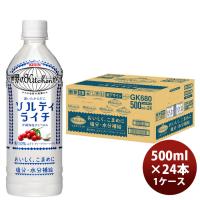 世界のキッチンから ソルティライチ 500ml 24本 ペットボトル 1ケース キリン 世界のKitchenから 父親 誕生日 プレゼント 父の日 のし・ギフト対応不可 | 逸酒創伝 弐号店