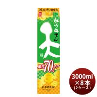 日本酒 松竹梅 天 糖質70%オフ パック 3000ml 3L × 2ケース / 8本 宝 清酒 既発売 | 逸酒創伝