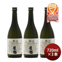 東龍 純米吟醸 龍の舞 720ml 3本 日本酒 山田錦 東春酒造 既発売 | 逸酒創伝