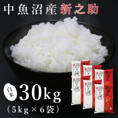魚沼産 コシヒカリ 30kgのおすすめ人気商品一覧 通販 - Yahoo