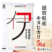 精米 5kg 送料無料 白米 令和5年産 滋賀県産キヌヒカリ 5kg 伊丹米 ギフト 内祝い 熨斗承ります きぬひかり | お米くらぶ