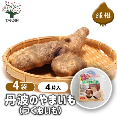 黒部産・赤土育ち・天然自然薯の種芋17本・850g 楽天市場】自然薯 種芋（花・ガーデン・DIY）の通販