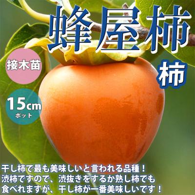 蜂屋柿 干し柿の商品一覧 通販 - Yahoo!ショッピング 蜂屋柿 干し柿の商品一覧 通販 - Yahoo!ショッピング