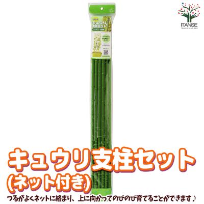 キュウリ支柱セットの商品一覧 通販 - Yahoo!ショッピング キュウリ支柱セットの商品一覧 通販 - Yahoo!ショッピング