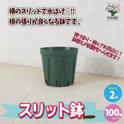 スリット鉢 2号（植木鉢）｜鉢、プランター｜園芸用品 | 花