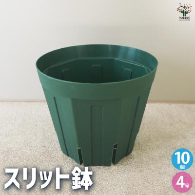 スリット鉢4号の商品一覧 通販 - Yahoo!ショッピング