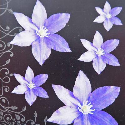 クレマチス流星（花の苗）｜苗 | 花、ガーデニング のおすすめ人気商品
