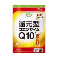 還元型コエンザイムQ10　【メール便・全国送料無料】 | shopooo by GMO