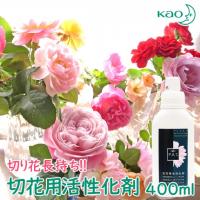 花王 切花用活性化剤 PAT(R) 400ml 活性剤 切花延命剤 切り花用活性化剤 植物用 長持ち 切り花専用 活性化剤 おすすめ 綺麗に咲く 植物用 花びら 防菌剤 防腐剤 | shopooo by GMO