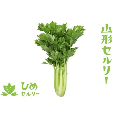 セロリ｜野菜｜食品 おすすめ人気商品 通販 - Yahoo!ショッピング