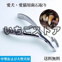 愛犬・愛猫用歯石取りペンチ ペット用 :dent-0018-:犬手作りごはん 愛犬・愛猫用歯石取りペンチ ペット用 :dent-0018-:犬手作りごはん