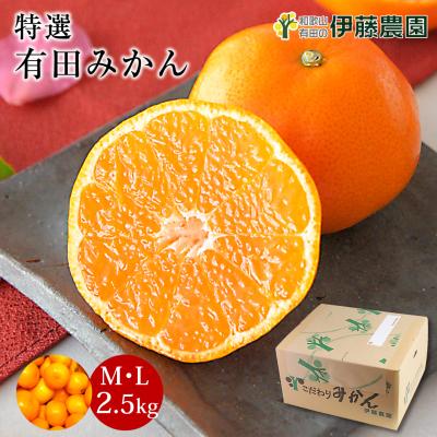 伊藤農園 Yahoo!店 - 特選有田みかん5kg〜10kg(MS・ML)｜Yahoo