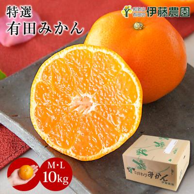 大坊みかん⭐︎3Sサイズ⭐︎10kg 10キロも♪大坊みかん♪3Sサイズ - メルカリ