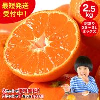 伊藤農園 Yahoo!店 - Yahoo!ショッピング