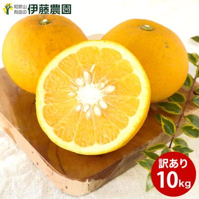 津之輝のおすすめ人気ランキングTOP100 - Yahoo!ショッピング