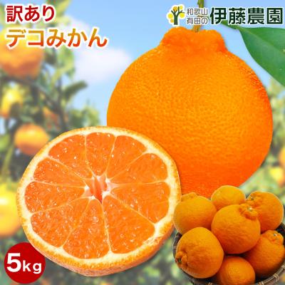 大坊みかんのおすすめ人気ランキングTOP100 - Yahoo!ショッピング