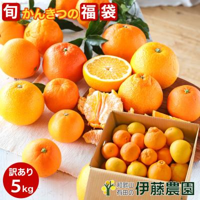 みかん 商品一覧 - 伊藤農園 Yahoo!店 - 売れ筋通販 - Yahoo!ショッピング