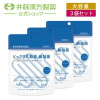 【お得な3個セット】乳酸菌・酪酸菌サプリメント【どっさり乳酸菌と酪酸菌 24日分】 | 井藤漢方製薬公式ウェブショップYahoo!店