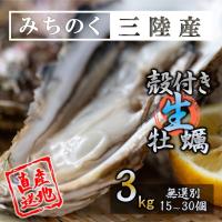 生食 OK カキ みちのく三陸産 殻付き生牡蠣 3kg 送料無料 レビュー投稿で 牡蠣ナイフ 付属 亜鉛の摂取源No.1 新鮮 宮城 産地直送 セール 海鮮 キャンプ ギフト