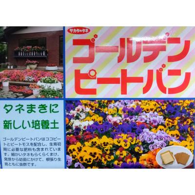 ゴールデンピートバンのおすすめ人気商品一覧 通販 - Yahoo