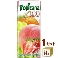 トロピカーナ フルーツブレンド スリムパック250ml（24本入） | イズミックワールド