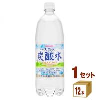 サンガリア 伊賀の天然水炭酸水ペット1L 1000ml（12本入） | イズミックワールド