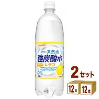サンガリア 伊賀の天然水 強炭酸水 レモン 1000ml 24本 | イズミックワールド
