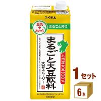 ふくれん まるごと大豆飲料 大豆スムージー 1000ml 1ケース (6本) | イズミックワールド