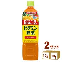 伊藤園 ビタミン野菜 ペットボトル 740g 2ケース (30本) | イズミックワールド