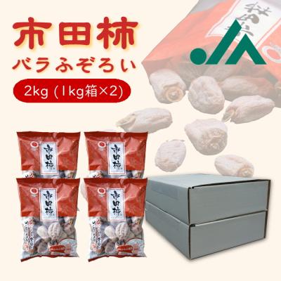 JAみなみ信州 - 市田柿｜Yahoo!ショッピング