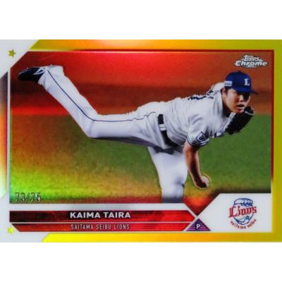 平良海馬 カード(トレーディングカード)の商品一覧 | ゲーム 平良海馬 カード(トレーディングカード)の商品一覧 | ゲーム