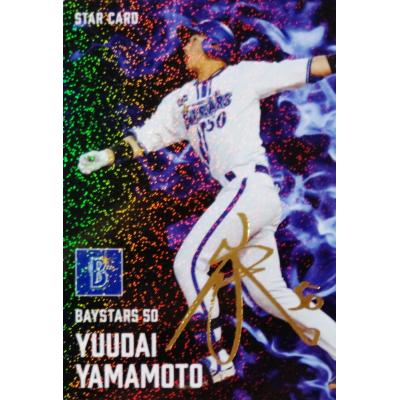 プロ野球チップス 横浜DeNAベイスターズ Callbee プロ野球チップスカード図鑑 横浜DeNAベイスターズ |本