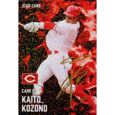 プロ野球チップス 広島東洋カープ選手+スターカード 各球団のスターカードセット プロ野球チップス 広島東洋カープ選手+スターカード 各球団の